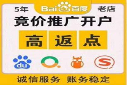 某公司网站sem托管项目纪实